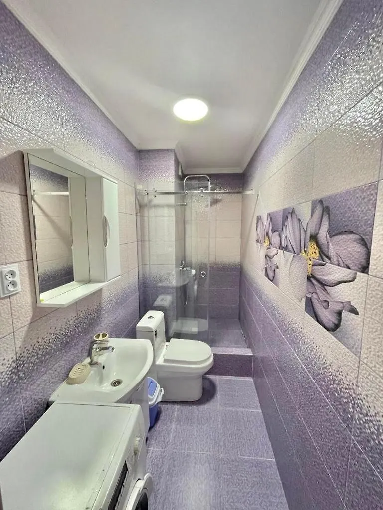 Apartment Жк Assem Plaza Однокомнатные Апартаменты 115 Almaty